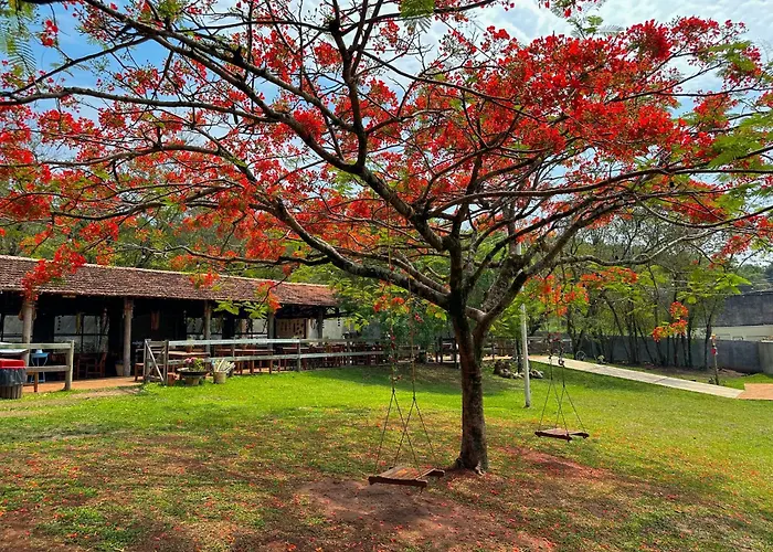 Hotel Fazenda Sao João